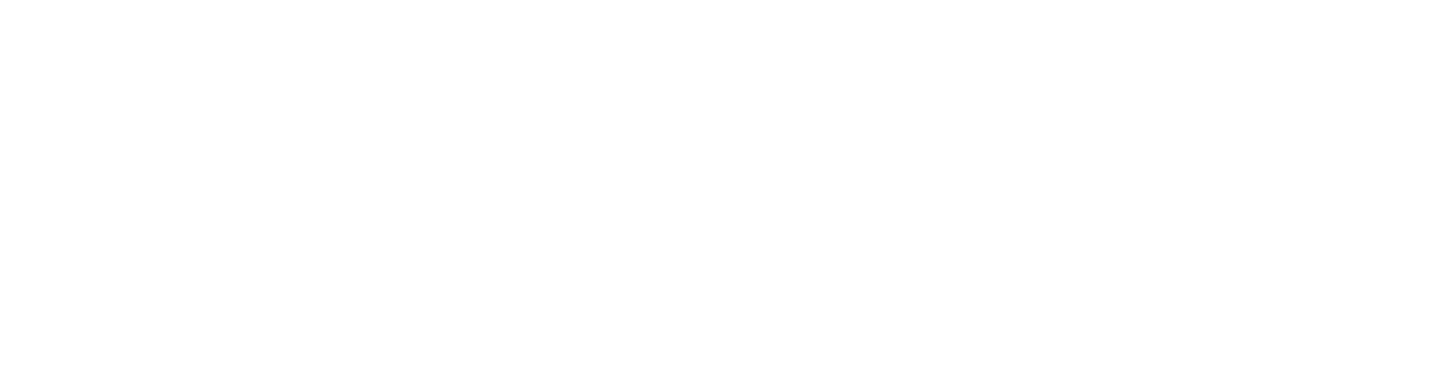 logo whiteV2